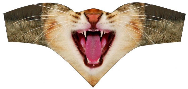 šátek HAVEN trojcípý Bugaboos Cat